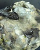 figurki i rzeźby Naczynie ceramiczne z rzeźbą jaszczurki - seria "Kamienny sen" 5