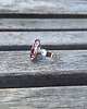 pierścionki - różne W czerwieni - pierścionek regulowany 1