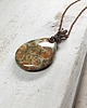 wisiory Fossil  m244 3