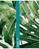 obrazy Obraz na płótnie LIŚCIE MONSTERA 80x120cm 2