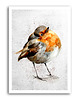 obrazy OBRAZ NA PŁÓTNIE -AKWARELOWY PTASZEK 40x60cm 1