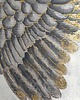 obrazy WINGS dyptyk / obraz na płótnie ręcznie malowany / 4
