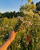 bransoletki z kamieni naturalnych Podwójna bransoletka Jutrzenka z łososiowych pereł, różowych kamieni 3