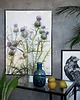 grafiki i ilustracje Osty 50x70 1