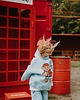 bluzy dla chłopców Bluza oversize Rodney Teddy 1