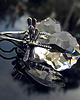 kolczyki swarovski Kolczyki z ważkami Erie. 1