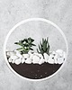 doniczki Zestaw  dwóch doniczek ściennych Circle planter 8