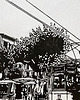 grafiki i ilustracje Linoryt "Tramwaj z Soller" 1