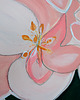 obrazy Secret garden / 100x100 6