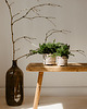 doniczki Doniczka z roślinami stabilizowanymi/mech - bonsai mały 2