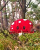 poduszki, poszewki - różne Muchomorkek 4