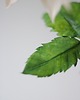 dodatki - różne Dekoracja botaniczna, kwiat z papieru - dalia 'cafe au lait' 5