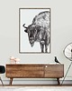 grafiki i ilustracje Żubr 70x100 1