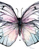 grafiki i ilustracje Motyl w fioletach, 21x30 cm, A4 1