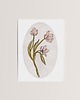 grafiki i ilustracje Plakat botaniczny - TULIPANY 1