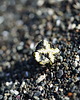 pierścionki - różne Pierścionek Beadingowy Volcanic 4