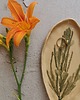 pojemniki na biżuterię Patera Ceramiczna Zielnik 1