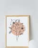 plakaty Plakat "Flower 6.0" 2