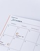 kalendarze i plannery Planer miesięczny zeszytowy - niedatowany - uniwersalny A5 4