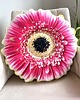 poduszki z grafiką Poduszka Duża Kwiat Gerbera 2