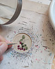 obrazy Maliny , owoce , Miniatura  ilustracja botaniczna 5