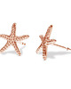 kolczyki pozłacane Kolczyki STARFISH- srebro,złoto,różowe złoto 2