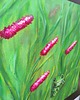obrazy Kwietna Łąka Obraz Olej Żaba Kwiaty 40x40 Natura Zieleń Róż Trawa 3