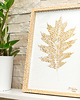 obrazy Obraz Botaniczny na Płótnie. Złoty Liść Dąb 20x30cm. Boho Style Oak Leaf 1