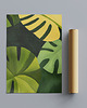 plakaty Plakat - Monstera 1