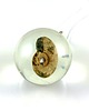 wisiory Tear Drops Amonit - wisior 1