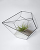 doniczki Szklarnia nr 1 Czarna Terrarium, donica, wazon 2