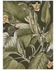 plakaty Plakat vintage exotic JUNGLE 3