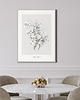 grafiki i ilustracje Jaśmin  print 50x70 cm 2