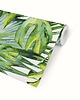 tapety i naklejki ścienne Tapeta Monstera Leaves 3