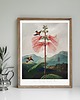 grafiki i ilustracje PLAKAT botaniczny, vintage rycina, kwiat egzotyczny 4