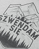 t-shirty męskie Koszulka męska SZWENDAM SIĘ/GÓRY szara 1