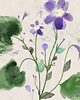 plakaty 2 ilustracje botaniczne  30x40 cm 3