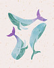 poduszki z grafiką Poduszka dekoracyjna - Three Whales 3