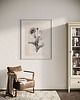 grafiki i ilustracje Mak  print  50x70 cm 4