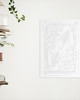 plakaty Plakat do Kolorowania Roślina Doniczkowa Monstera Adasonii 50x70cm 2