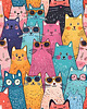 plakaty Plakat - Kitten overload 2 2