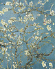 tapety i naklejki ścienne Tapeta/ reprodukcja - Migdałowiec - Van Gogh 1