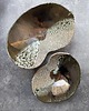 patery i talerze Patera FASOLKA *Deep into the sea ok.31 cm 4