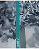 obrazy Obraz na płótnie- KWIATY CZOSNKU 150x60cm 3