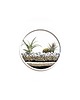 doniczki Circle planter "M"- dekoracja ścienna 7