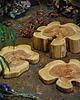 podkładki do kuchni Podstawki kuchenne drewniane 4