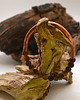bransoletki - inne Bransoletka miedziana handmade z koralikami: tygrysie oko (matowe) 3