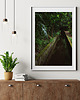 plakaty Lewada na Maderze, plakat, fotografia, plik cyfrowy 1