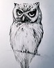 grafiki i ilustracje sowa, wydruk autorskiej grafiki 1