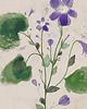 plakaty 3 ilustracje botaniczne | 50x70 cm 3
